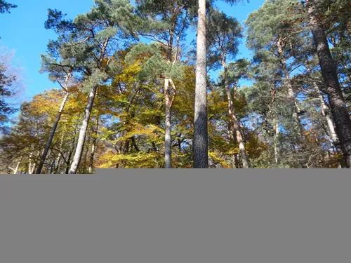 Impression Naturfreundehaus Edenkoben